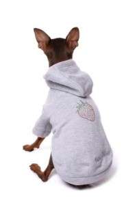 BIG DOG CLOTHES   Strawberry Hoodie   26 Large Breeds  