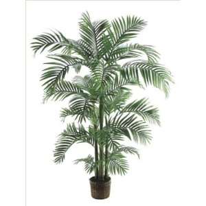   Pack of 2 Decorative Kentia Palm Trees with Baskets 6
