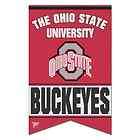 Ohio State Buckeyes Flag Premium 3 x 5 Banner Pennant Collegiate 