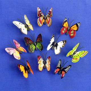 10 WIDE VARIETY OF BUTTERFLY FRIDGE MAGNETS   N85  