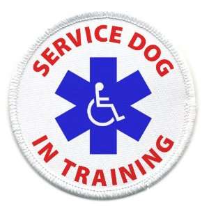   DOG IN TRAINING Medical Alert 2.5 inch Sew on Patch 