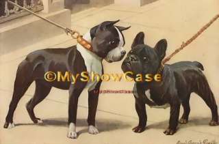 Adorable Print Comic Dog Face Off French Bulldog & Boston Terrier on 