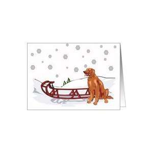  Winter Scene Irish Setter Christmas Card Card Health 