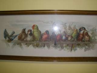 Paul de Longpre Print OUR FEATHERED PETS Parrots Birds Flowers 