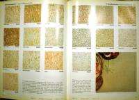 1965 CONGOLEUM NAIRN Vinyl Asbestos Floor Tile White Shield Backing 