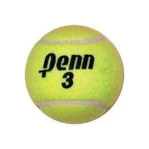  Penn Championship Game Tennis Balls