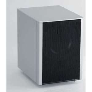  P Sub 4 Subwoofer Electronics