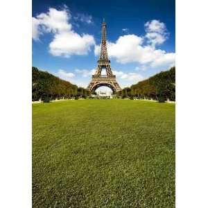  Eiffel Tower with Huge Grass Copy Space   Peel and Stick Wall Decal 