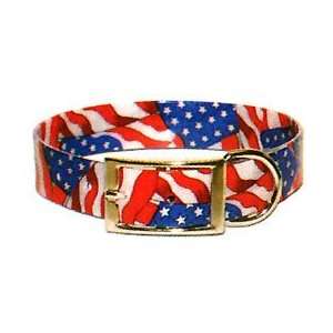   Flag (Catalog Category Dog / Collars   Sun Glo Collar)