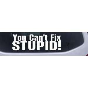 White 58in X 18.8in    You Cant Fix Stupid Funny Car Window Wall 