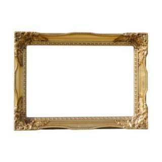 Decorative Gold Gilt Tuscany PICTURE FRAME Internal 20 x 30